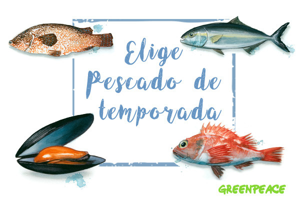 GreenpeacePesca