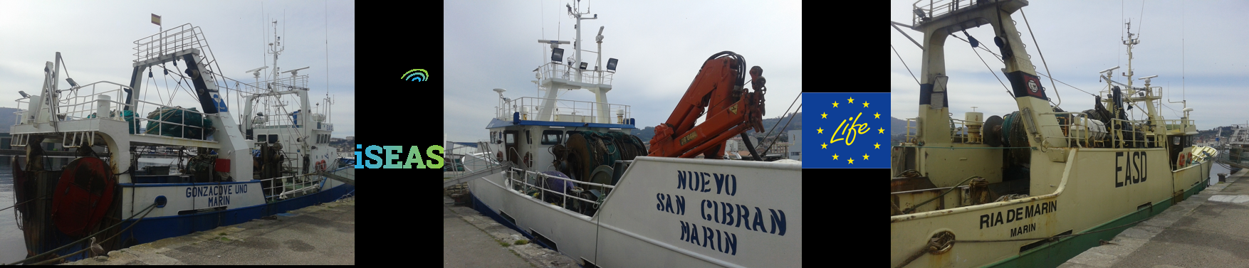 Descartes discards landing obligation fisheries pesca