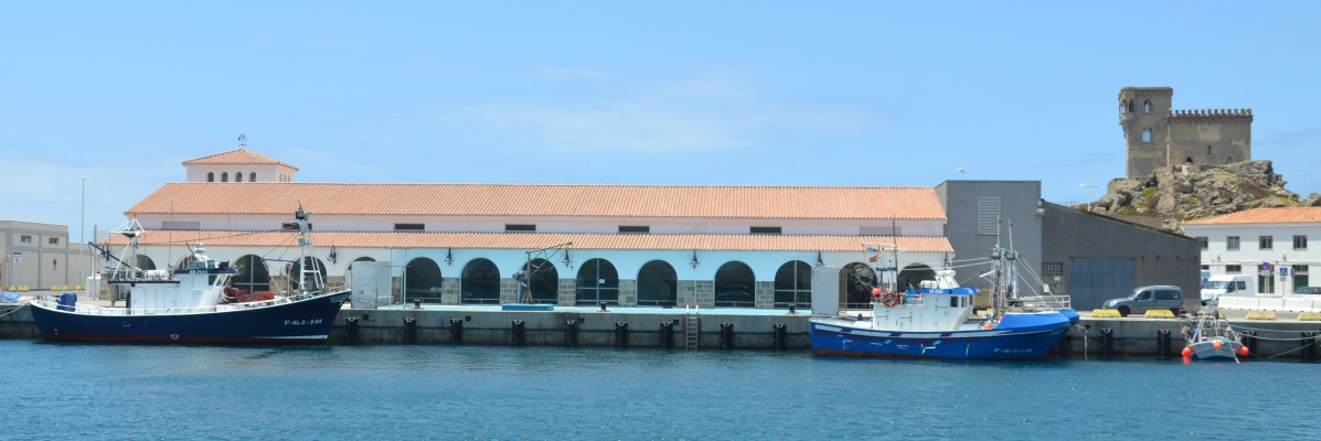 Puerto de Tarifa   Lonja