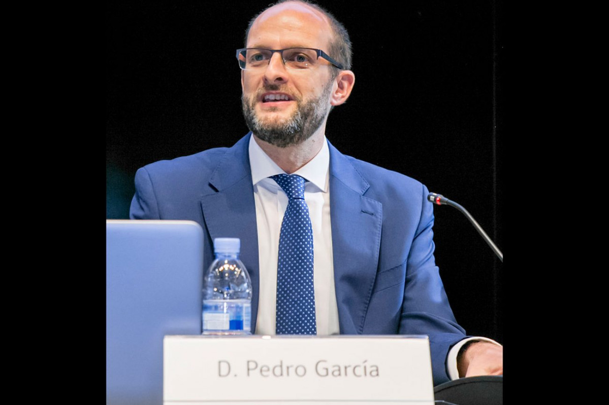 Anesco   Pedro Garcia Navarro