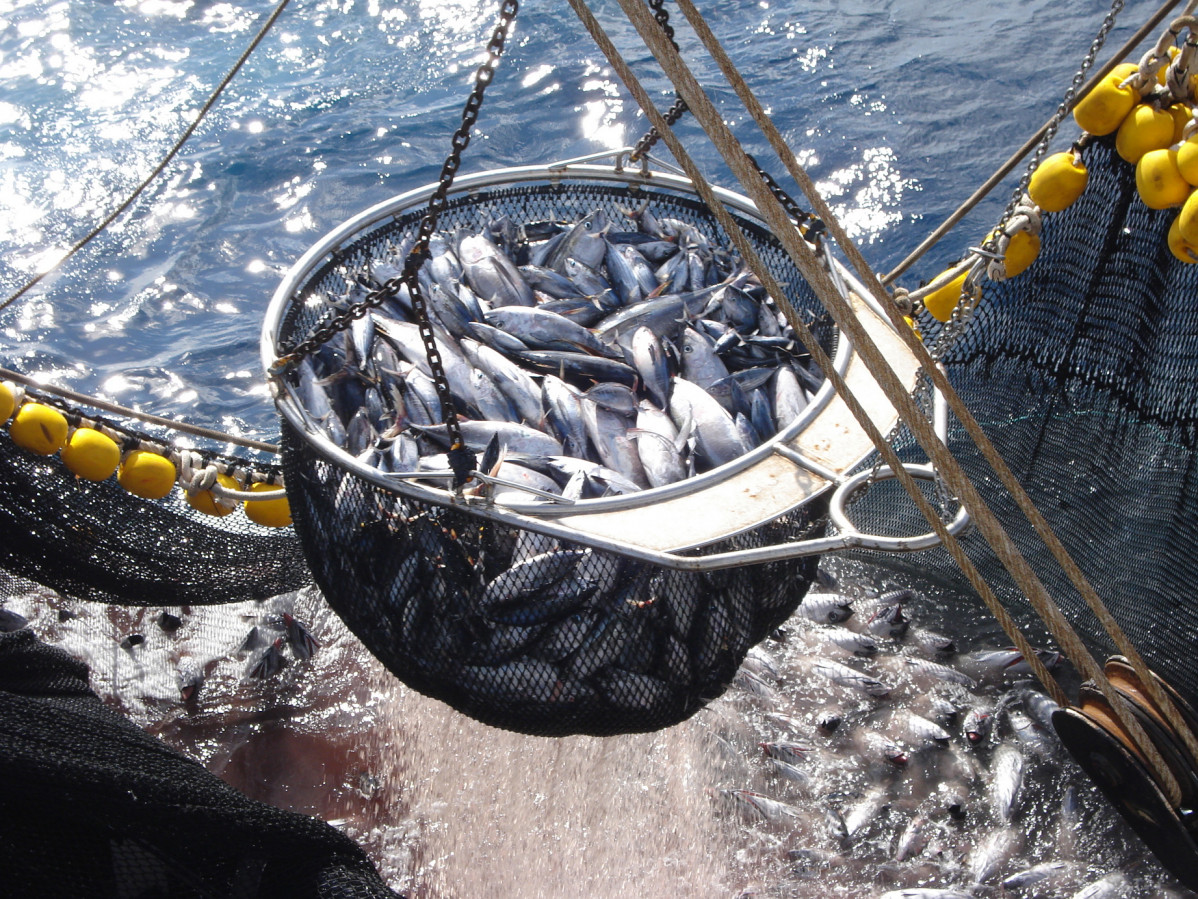 Pesca de atún tropical Flota de OPAGAC