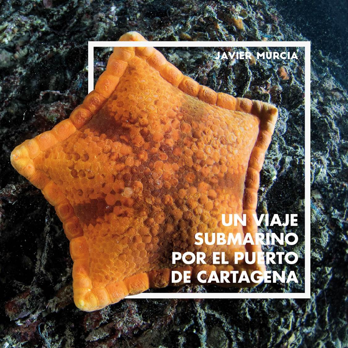 Puerto de Cartagena   Libro Un Viaje submarino...