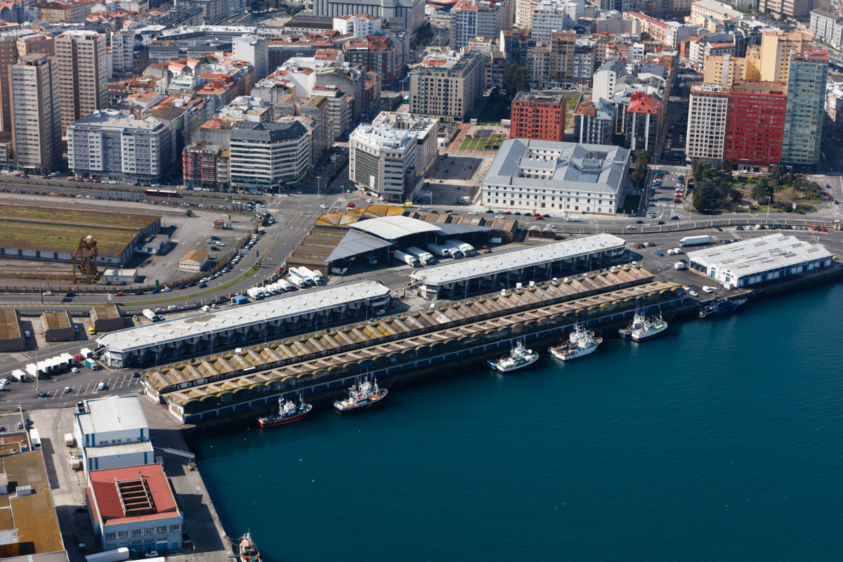 Puerto de A Coruña   Lonja pesquera