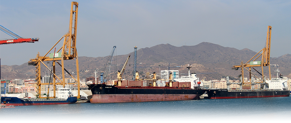Puerto de Mu00e1laga   cargueros