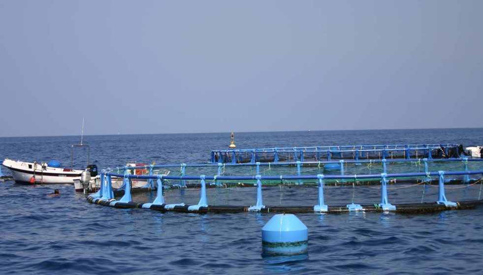 180214acuicultura tcm30 441317