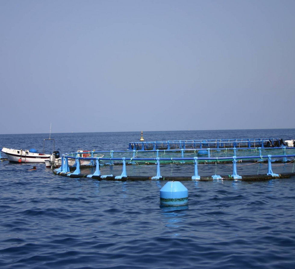 180214acuicultura tcm30 441317