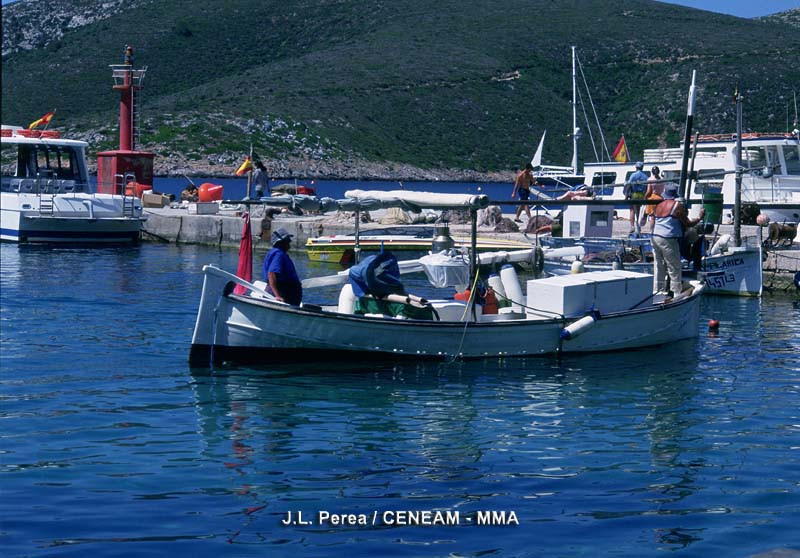 Barcas puerto cabrera tcm30 538197