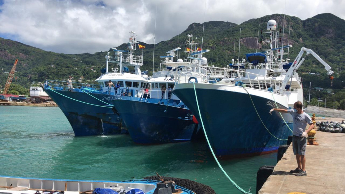 Flota atunera   opagac   Barcos atuneros relevos en Seychelles