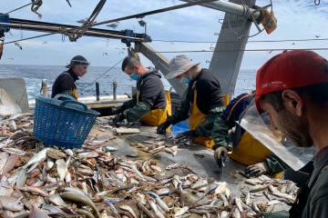 Abril 2020 Actividad pesquera Crisis COVID19 2