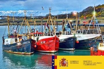 080818 barcos tcm30 512238