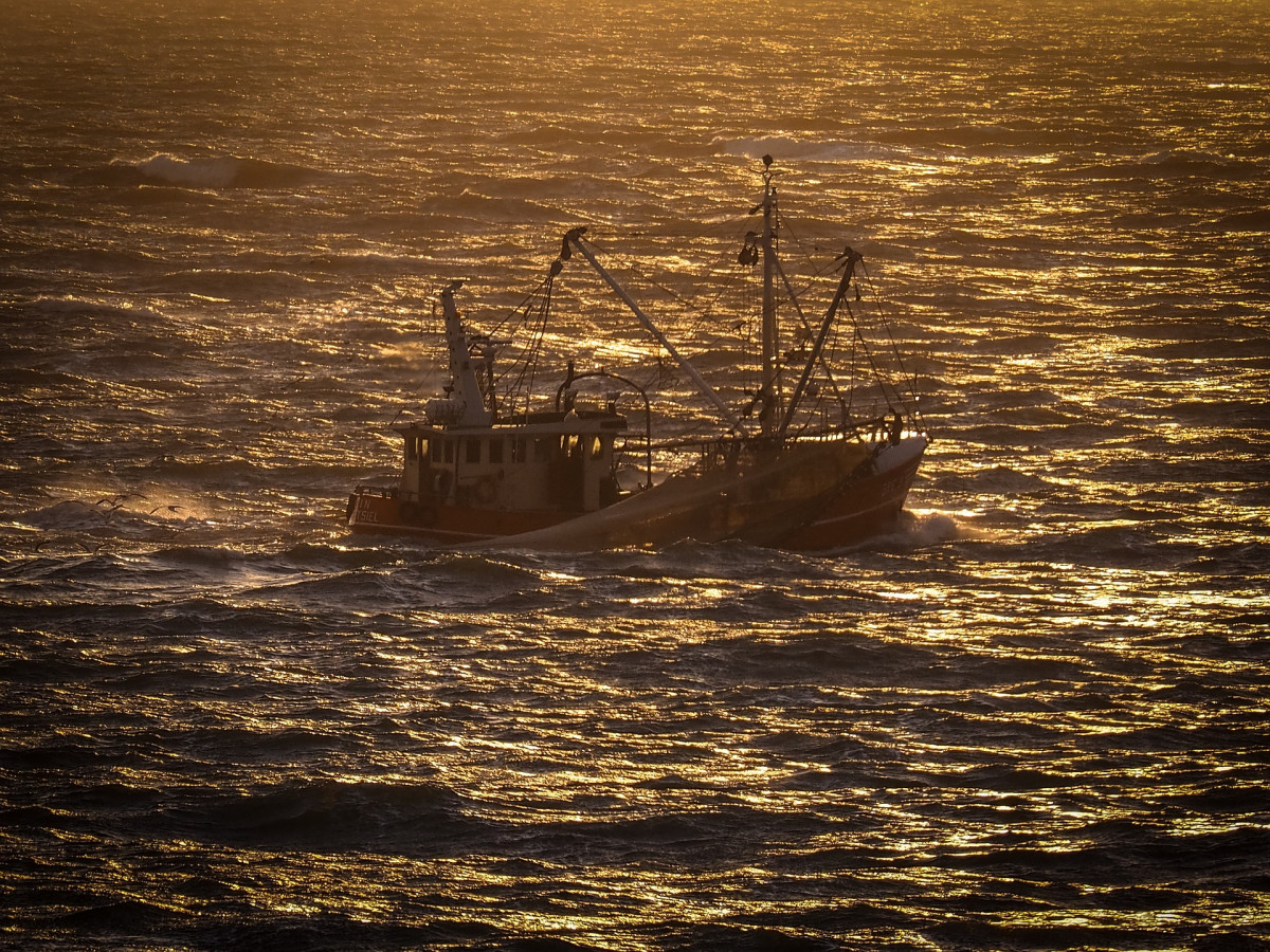Fishing vessel tcm30 561515