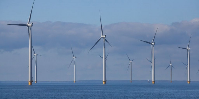 210709tallersectorpesqueroeolicamarina tcm30529214 1