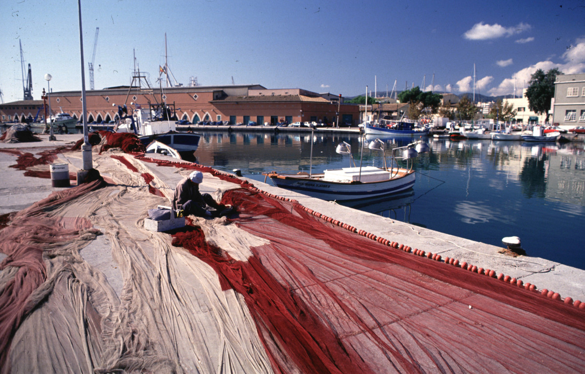 Puerto de Palmas   Lonja del pescado