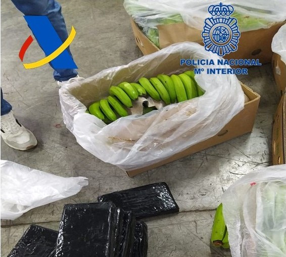 Puerto de algeciras   bananas   cocaina