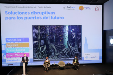 Puerto de Sevilla   dISRUP1