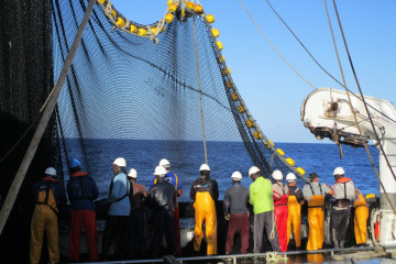 Actividad buque cerco atunero Opagac