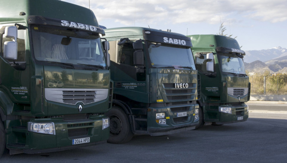 Transportes Sabio   Puerto de Motril