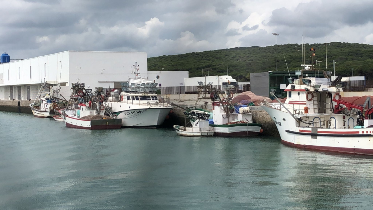 Flota pesquera amarrada en Barbate (002)