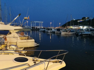 IMG 20210824 210607 resized 20210903 084957144