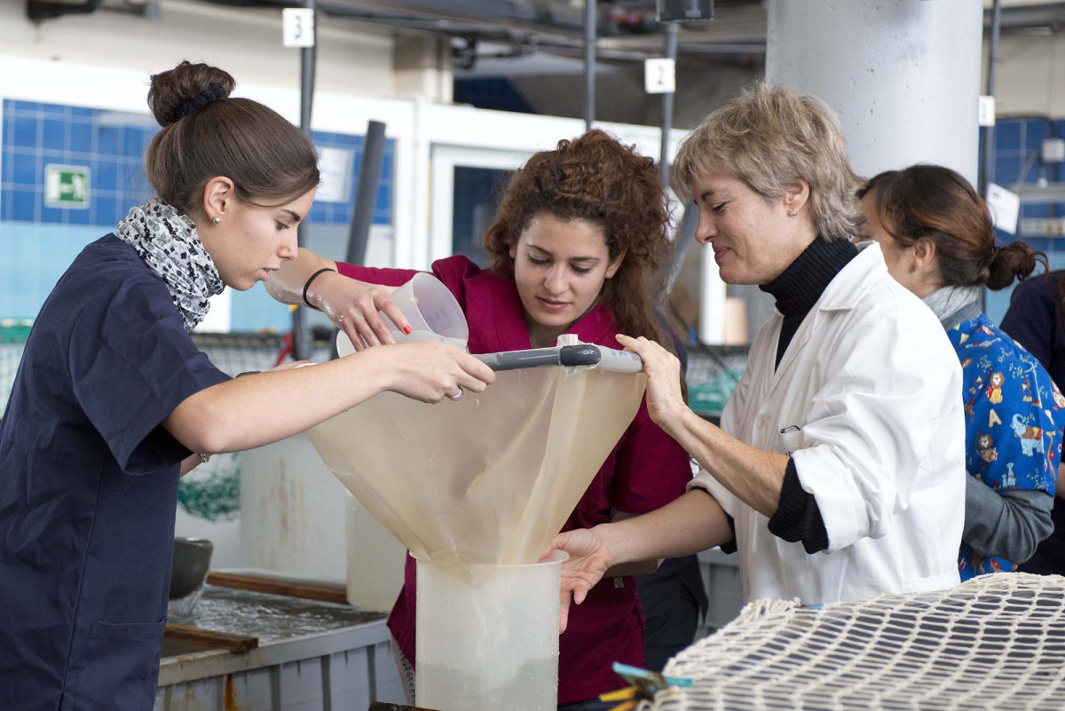 Ecoaqua   MarisolIzquierdo